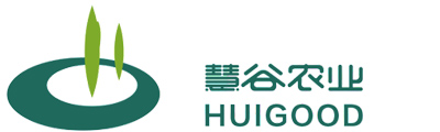 網(wǎng)站logo